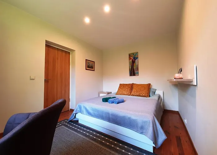 Apartament Apartamentai Sermuksnis Druskieniki