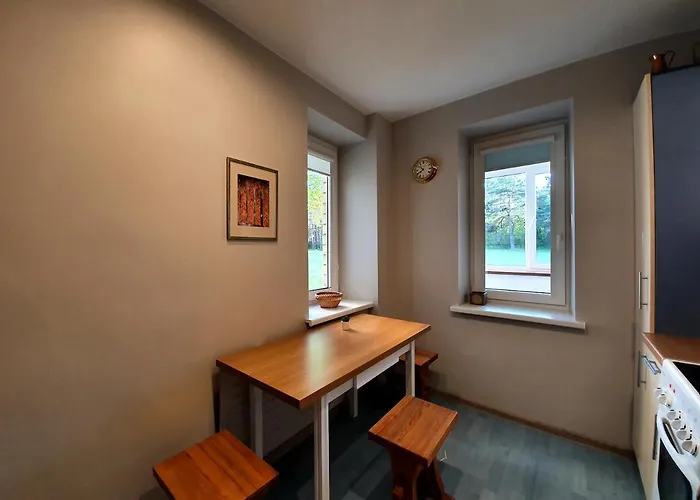 Apartamentai Sermuksnis * Druskieniki