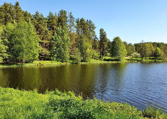 Apartamentai Sermuksnis