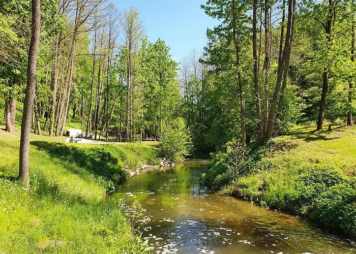 Apartamentai Sermuksnis Druskieniki