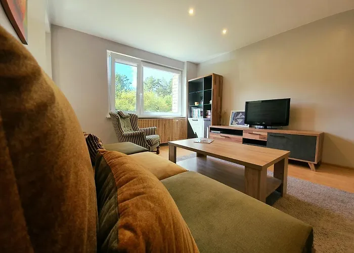 Apartamentai Sermuksnis * Друскининкай